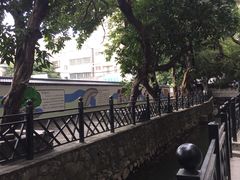 -小洲村