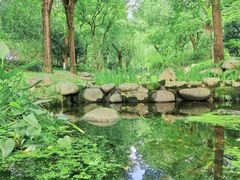 -陈家山荷花公园