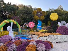 -上海共青森林公园