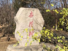 -北京凤凰岭