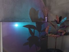 -Sarah西点·烘焙·餐厅(翰林府旗舰店)