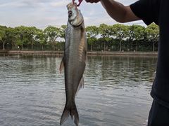 -新怡路亚垂钓园