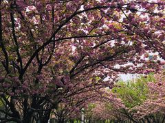 -苏州河梦清园环保主题公园