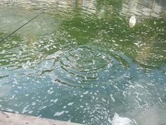 -DGE季风钓虾营地·团建·聚会