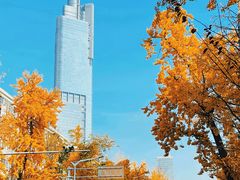-北极阁公园