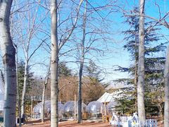 景点-朝阳公园