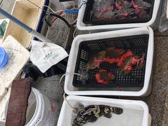 -霞涌市场海鲜摆卖区