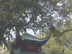 -岳麓山风景名胜区