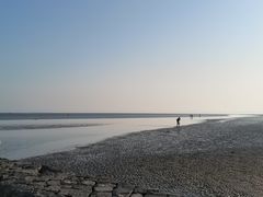 -南汇新城海滩
