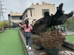 -大树头花园餐厅(市桥店)