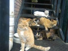 -北京水岸山吧度假村(雁栖镇店)