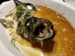 -泰河谷·豆捞