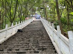 -老君山