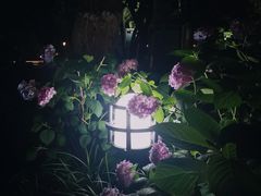 -常州古运河南大街文化旅游区-人民公园