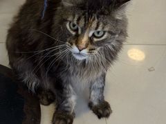 -平行世界·猫咖(首经贸店)