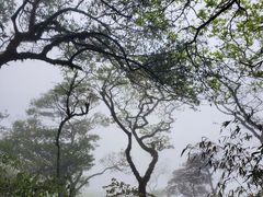 -梵净山旅游区
