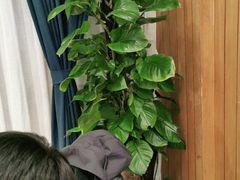 -解家河南菜(商鼎路店)