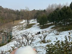 -鹦鹉寺公园