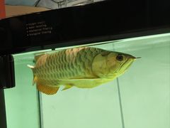 -海碗居老北京炸酱面(增光路店)