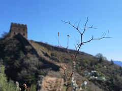 -蟠龙山长城景区
