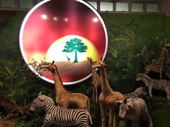 -济州岛泰迪熊博物馆