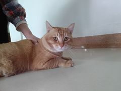 -怡海公园(桂城街道)