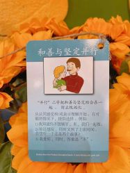 -陪我玩图书馆·烘焙坊·综合亲子馆