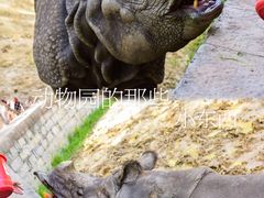 -上海野生动物园