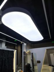 -风生造型