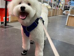 -宠物家(双井店)