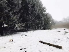 -九峰山