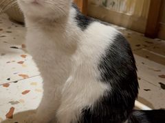 -萤火虫咖啡(后海店)