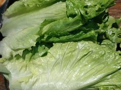 -珍慧韩式烤肉한.식당