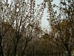 -艾溪湖湿地公园