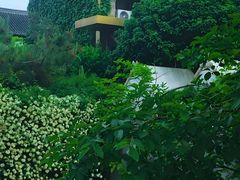 -回龙窝历史文化街区