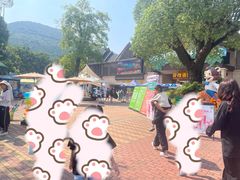 -苏州乐园森林水世界