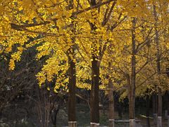-浙江农林大学(东湖校区)