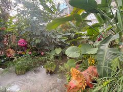 -沈阳植物园