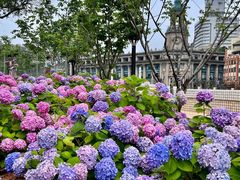 -北外滩滨江绿地