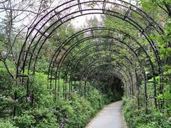 -福建鲤鱼洲酒店