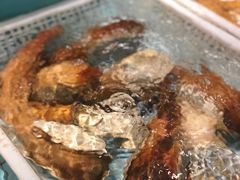 象拔蚌-尚海豆捞(乐虹坊店)