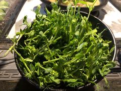 豌豆尖-哈吱喂丽江火塘·牦牛火锅(五一街店)