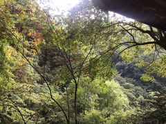 -藏龙百瀑风景区