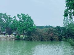 -江心屿景区