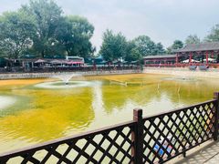 -尚庄度假村·庭台树下·户外烧烤·团建CS·轰趴营地(上庄水库店)