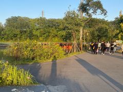 -江门古劳水乡旅游区