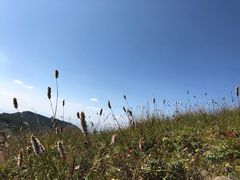 -白草畔自然风景区