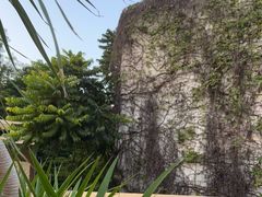 -villaa·别墅·融合菜西餐厅