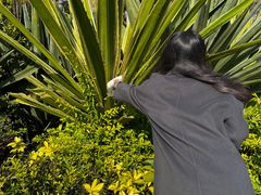 -荔香公园