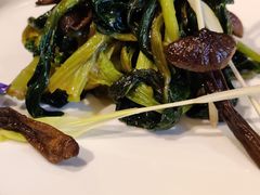 鸡枞菌烤菜-荟廷·晶萃(陆家嘴尚悦湾店)